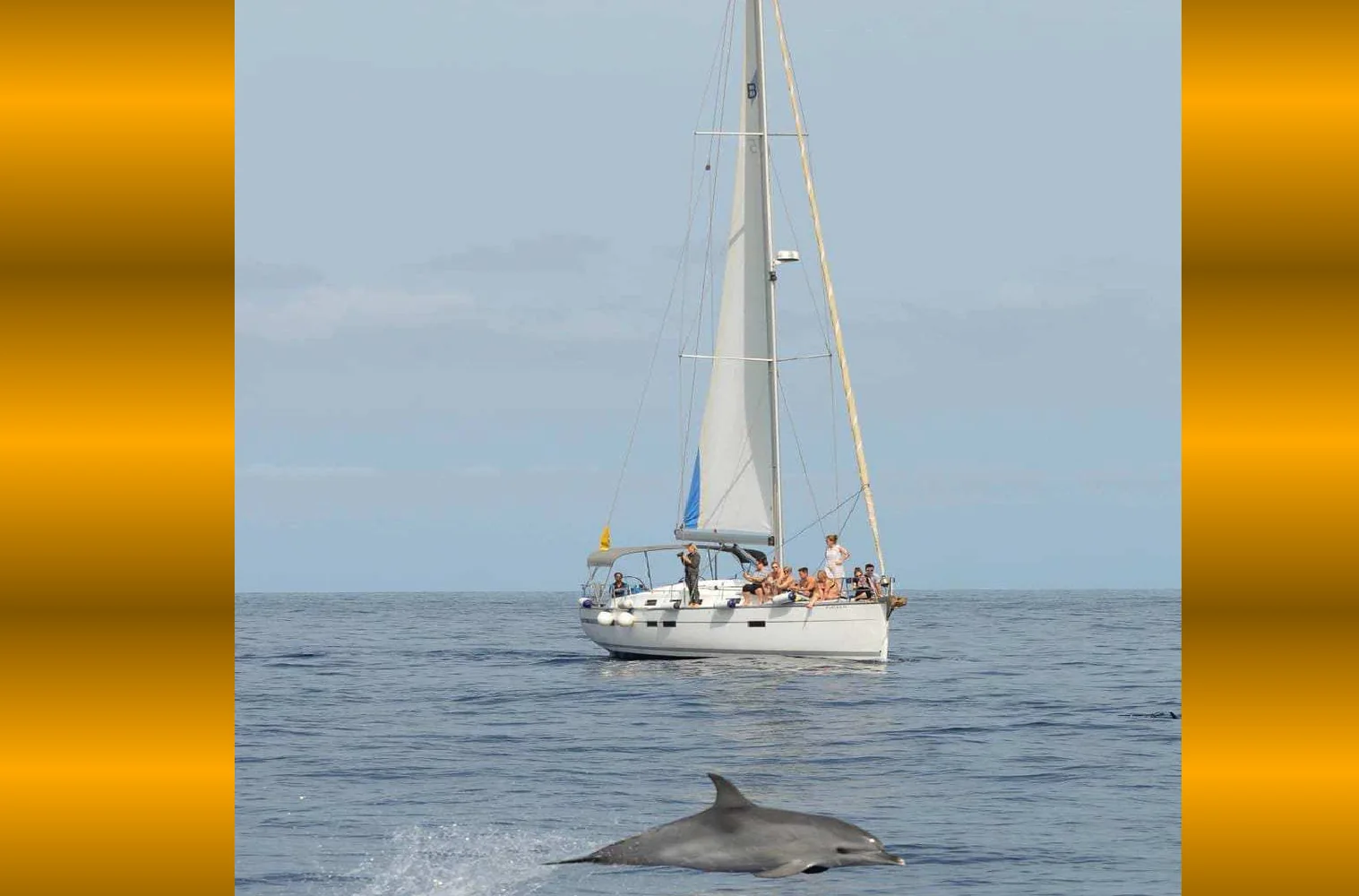Bavaria Cruiser 45 Package for Sale - Ref. 309
