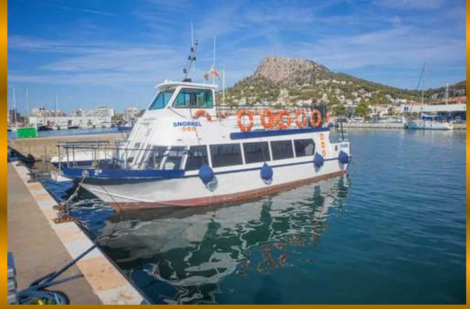 Passenger and Diving Vessel for Sale - Ref. P-226